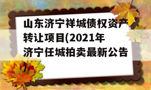 山东济宁祥城债权资产转让项目(2021年济宁任城拍卖最新公告)