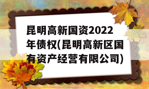 昆明高新国资2022年债权(昆明高新区国有资产经营有限公司)