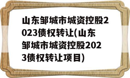 山东邹城市城资控股2023债权转让(山东邹城市城资控股2023债权转让项目)