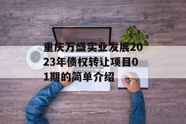 重庆万盛实业发展2023年债权转让项目01期的简单介绍