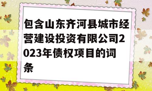 包含山东齐河县城市经营建设投资有限公司2023年债权项目的词条