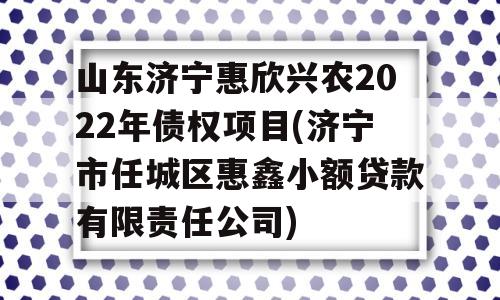 山东济宁惠欣兴农2022年债权项目(济宁市任城区惠鑫小额贷款有限责任公司)