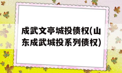 成武文亭城投债权(山东成武城投系列债权)