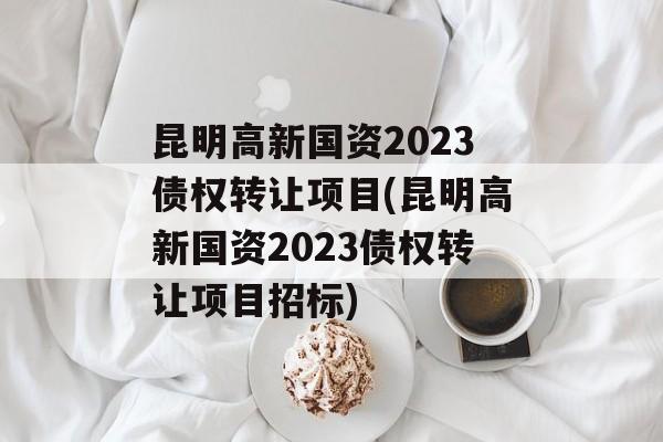 昆明高新国资2023债权转让项目(昆明高新国资2023债权转让项目招标)