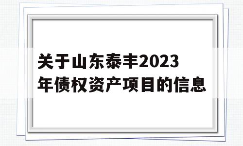 关于山东泰丰2023年债权资产项目的信息