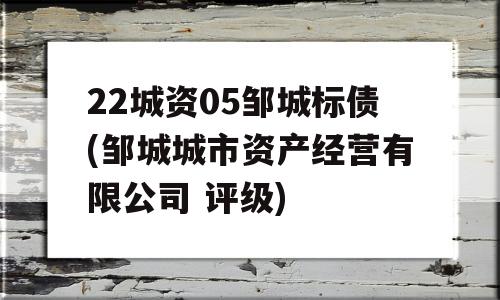 22城资05邹城标债(邹城城市资产经营有限公司 评级)