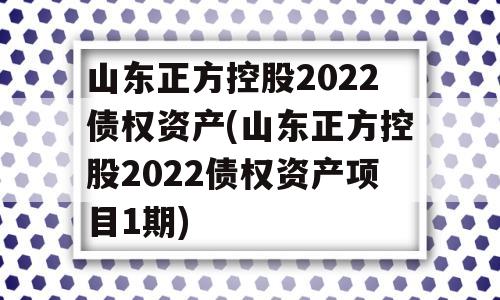 山东正方控股2022债权资产(山东正方控股2022债权资产项目1期)