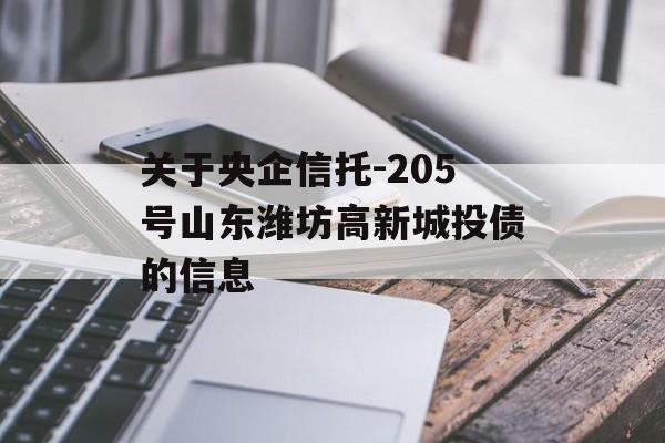 关于央企信托-205号山东潍坊高新城投债的信息