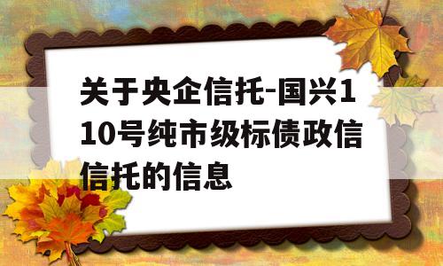 关于央企信托-国兴110号纯市级标债政信信托的信息