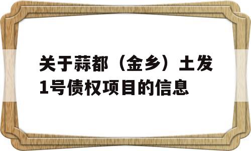 关于蒜都（金乡）土发1号债权项目的信息