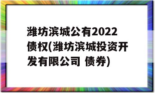 潍坊滨城公有2022债权(潍坊滨城投资开发有限公司 债券)