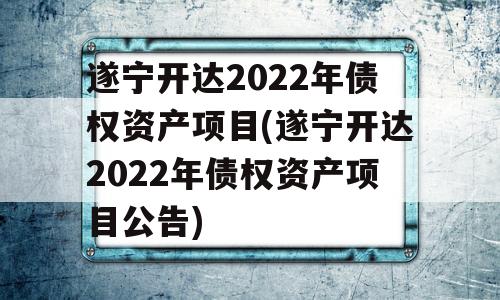 遂宁开达2022年债权资产项目(遂宁开达2022年债权资产项目公告)