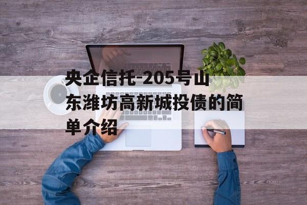 央企信托-205号山东潍坊高新城投债的简单介绍