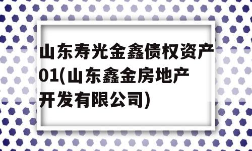 山东寿光金鑫债权资产01(山东鑫金房地产开发有限公司)