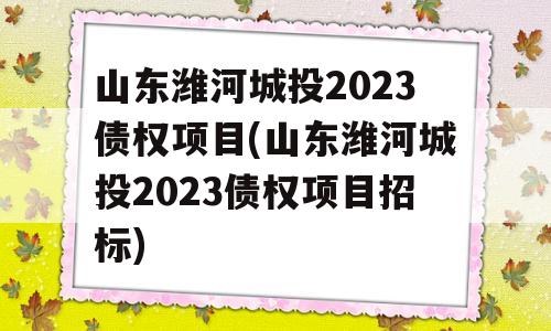 山东潍河城投2023债权项目(山东潍河城投2023债权项目招标)