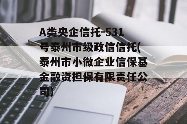 A类央企信托-531号泰州市级政信信托(泰州市小微企业信保基金融资担保有限责任公司)