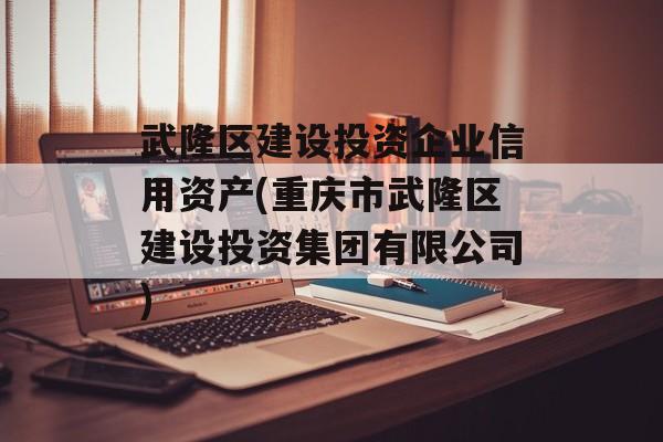 武隆区建设投资企业信用资产(重庆市武隆区建设投资集团有限公司)