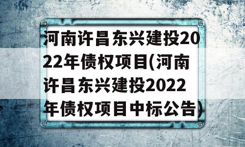 河南许昌东兴建投2022年债权项目(河南许昌东兴建投2022年债权项目中标公告)