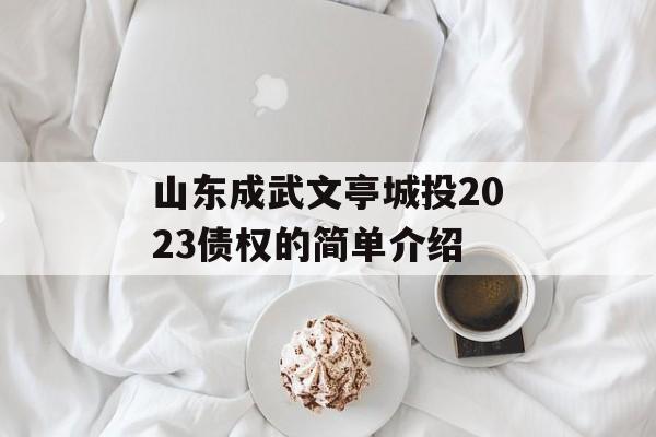 山东成武文亭城投2023债权的简单介绍