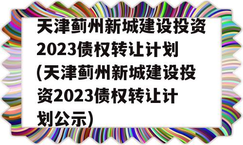 天津蓟州新城建设投资2023债权转让计划(天津蓟州新城建设投资2023债权转让计划公示)