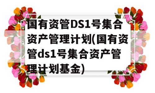 国有资管DS1号集合资产管理计划(国有资管ds1号集合资产管理计划基金)