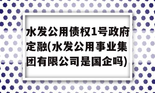 水发公用债权1号政府定融(水发公用事业集团有限公司是国企吗)