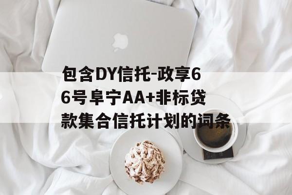 包含DY信托-政享66号阜宁AA+非标贷款集合信托计划的词条