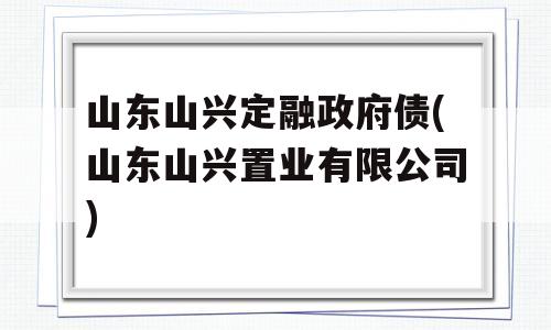 山东山兴定融政府债(山东山兴置业有限公司)