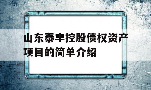 山东泰丰控股债权资产项目的简单介绍