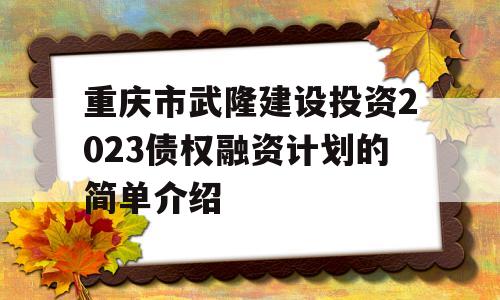 重庆市武隆建设投资2023债权融资计划的简单介绍