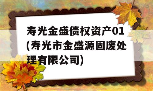 寿光金盛债权资产01(寿光市金盛源固废处理有限公司)