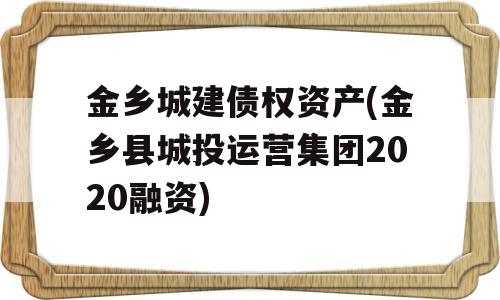 金乡城建债权资产(金乡县城投运营集团2020融资)