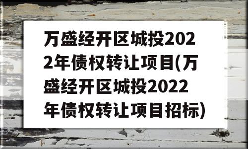 万盛经开区城投2022年债权转让项目(万盛经开区城投2022年债权转让项目招标)