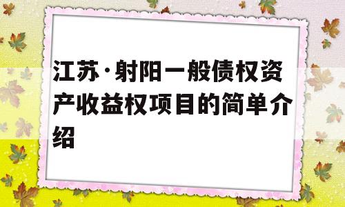 江苏·射阳一般债权资产收益权项目的简单介绍