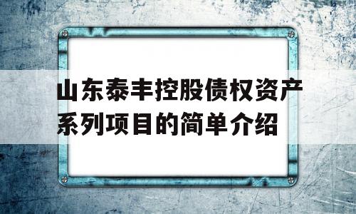 山东泰丰控股债权资产系列项目的简单介绍