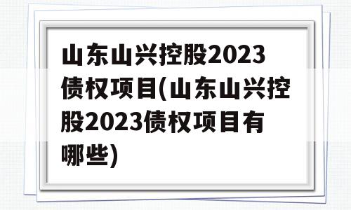 山东山兴控股2023债权项目(山东山兴控股2023债权项目有哪些)