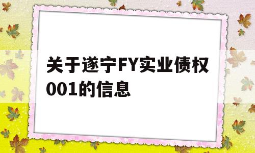 关于遂宁FY实业债权001的信息