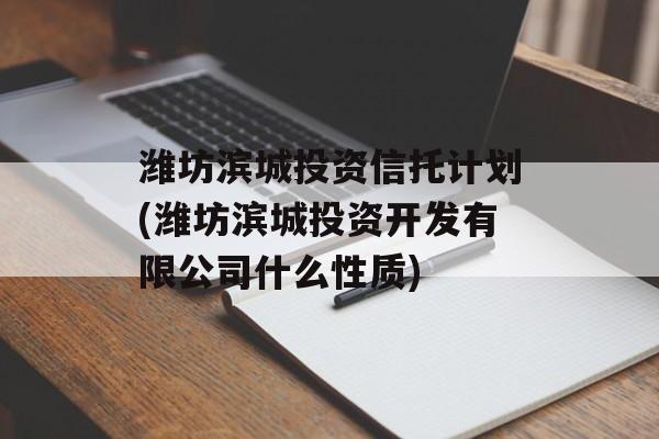 潍坊滨城投资信托计划(潍坊滨城投资开发有限公司什么性质)