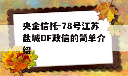 央企信托-78号江苏盐城DF政信的简单介绍