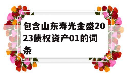 包含山东寿光金盛2023债权资产01的词条