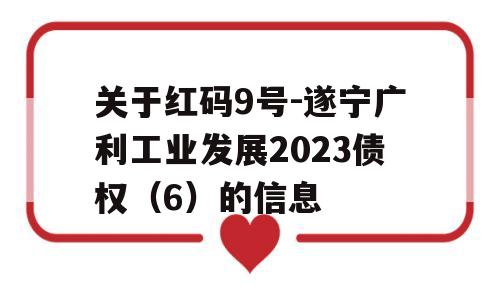 关于红码9号-遂宁广利工业发展2023债权（6）的信息