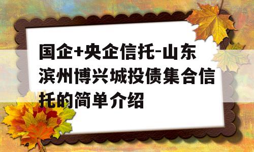 国企+央企信托-山东滨州博兴城投债集合信托的简单介绍