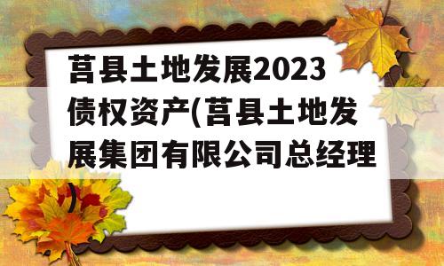 莒县土地发展2023债权资产(莒县土地发展集团有限公司总经理)