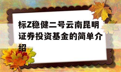 标Z稳健二号云南昆明证券投资基金的简单介绍