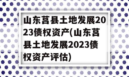 山东莒县土地发展2023债权资产(山东莒县土地发展2023债权资产评估)