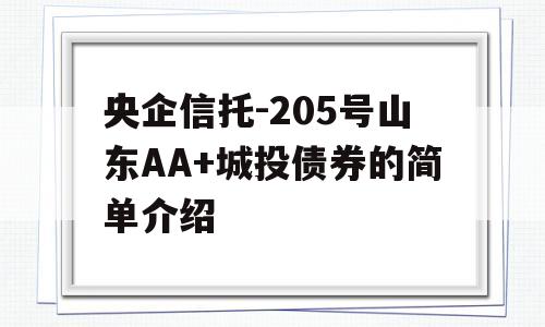 央企信托-205号山东AA+城投债券的简单介绍