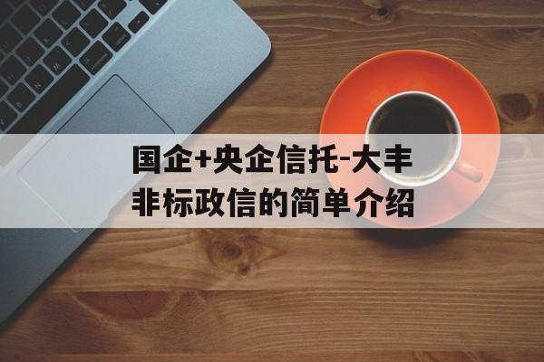 国企+央企信托-大丰非标政信的简单介绍