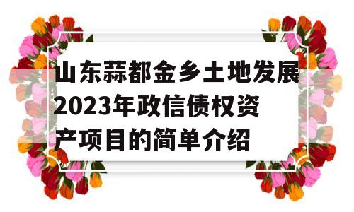 山东蒜都金乡土地发展2023年政信债权资产项目的简单介绍