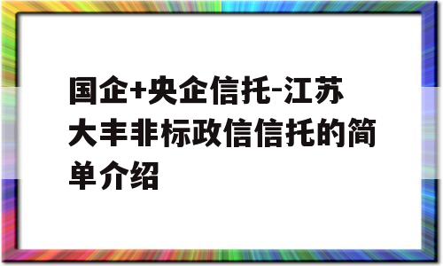 国企+央企信托-江苏大丰非标政信信托的简单介绍