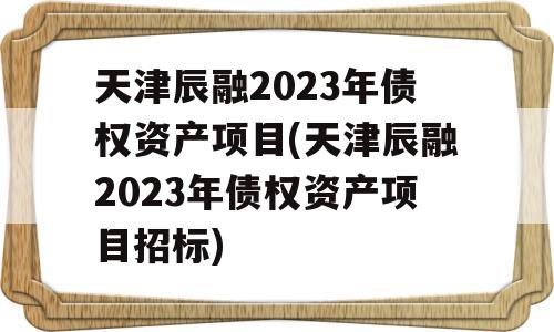 天津辰融2023年债权资产项目(天津辰融2023年债权资产项目招标)